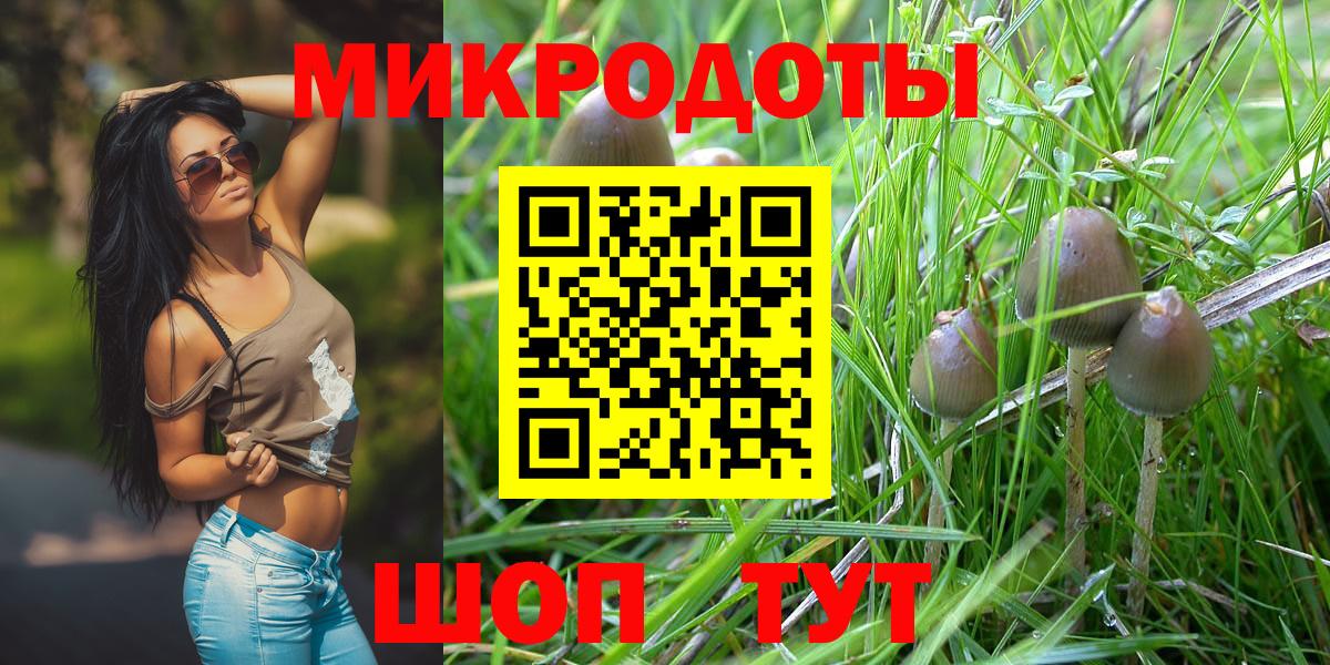 Псилоцибиновые грибы MAGIC MUSHROOMS Тосно
