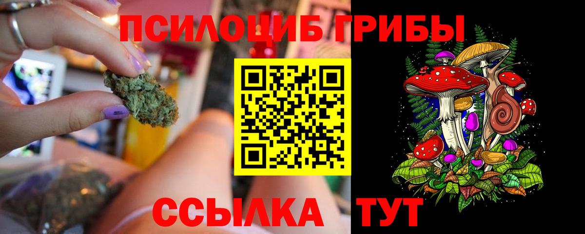 Тосно  Галлюциногенные грибы Cubensis  цена наркотик  Вход с VPN  Псилоцибиновые грибы мухоморы 